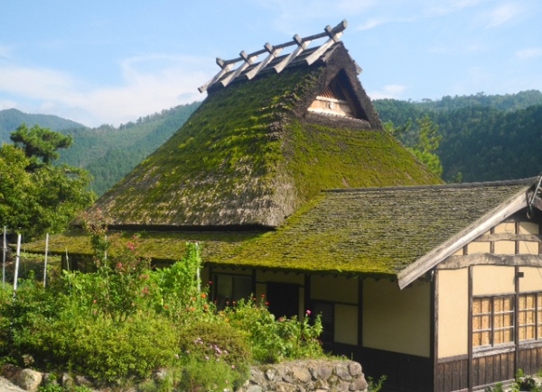 One of the 50 thatched roofed houses