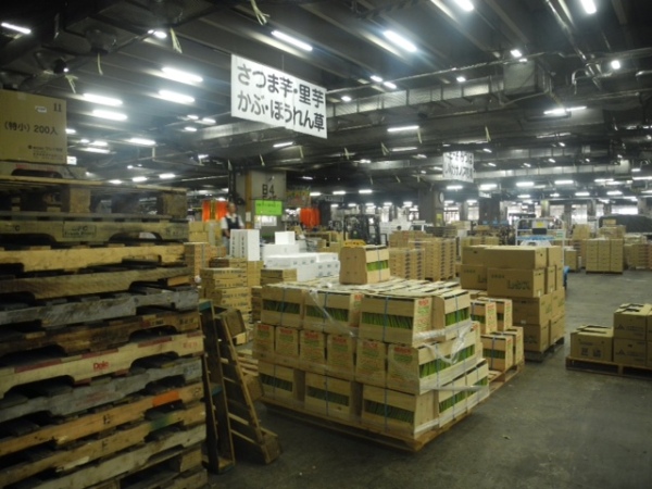 Tsukiji wholesale Fish Market