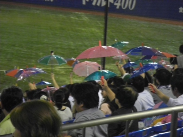 Umbrellas go wild after every home run